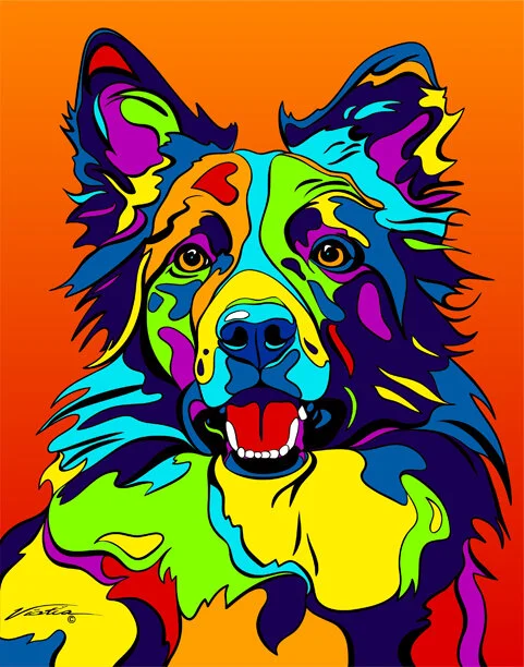 Border Collie — Studio Seven Arts